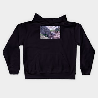 Seagull Chicks Kids Hoodie